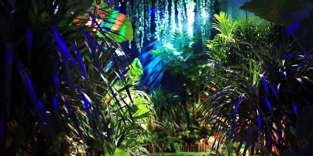 电脑重装后浏览器里的收藏文件夹红迪网-分享与讨论平台